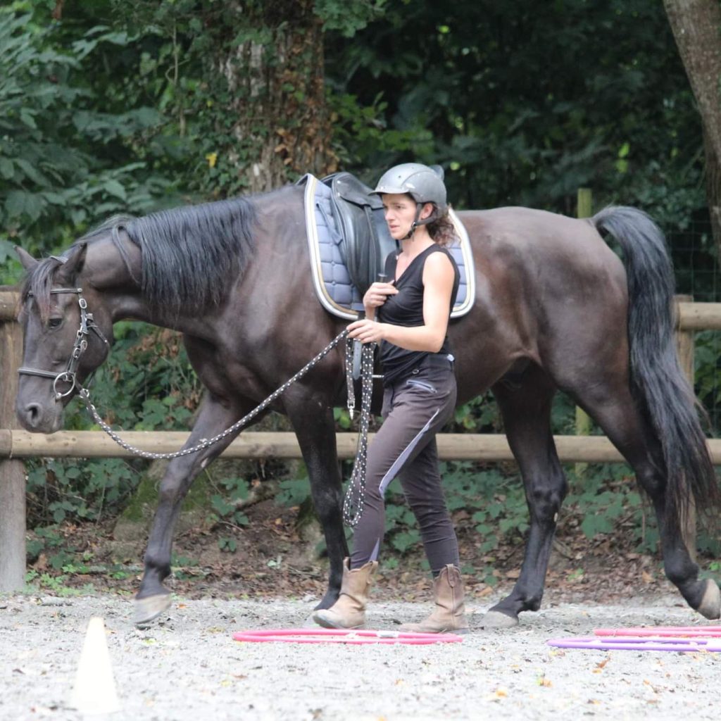 Programme des vacances de Noël