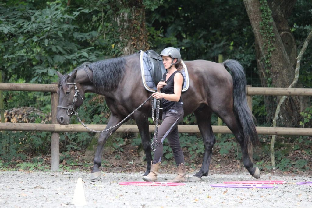 Programme des vacances de Noël