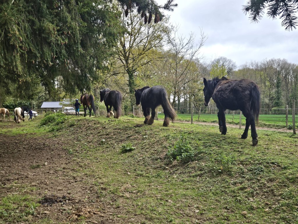 Programme du 21 au 26 avril